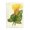 Vintage Yellow Canna Lily, variant on Stupell Industries Victorian Orange Yellow Rhododendron Canvas Art, 16 x 24, by Print Collection