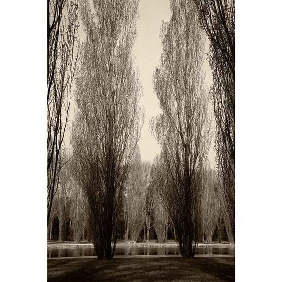 "Tree Pair" Painting Print on Wrapped Canvas