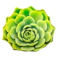 thumbnail image 2 of Almohada de peluche de 50 cm para decoración del hogar, adornos suaves para sofá Verde, 2 of 9