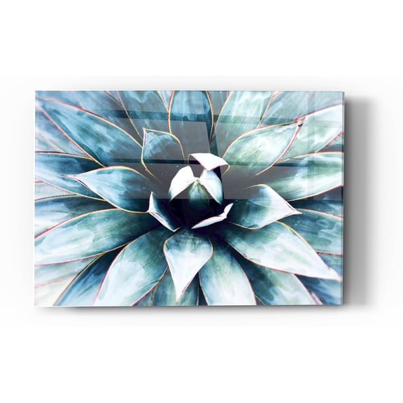 Epic Art 'Tropical Star' by Irena Orlov, Acrylic Glass Wall Art, 24"x36"