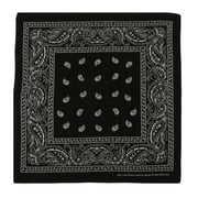 Classic Paisley Bandana