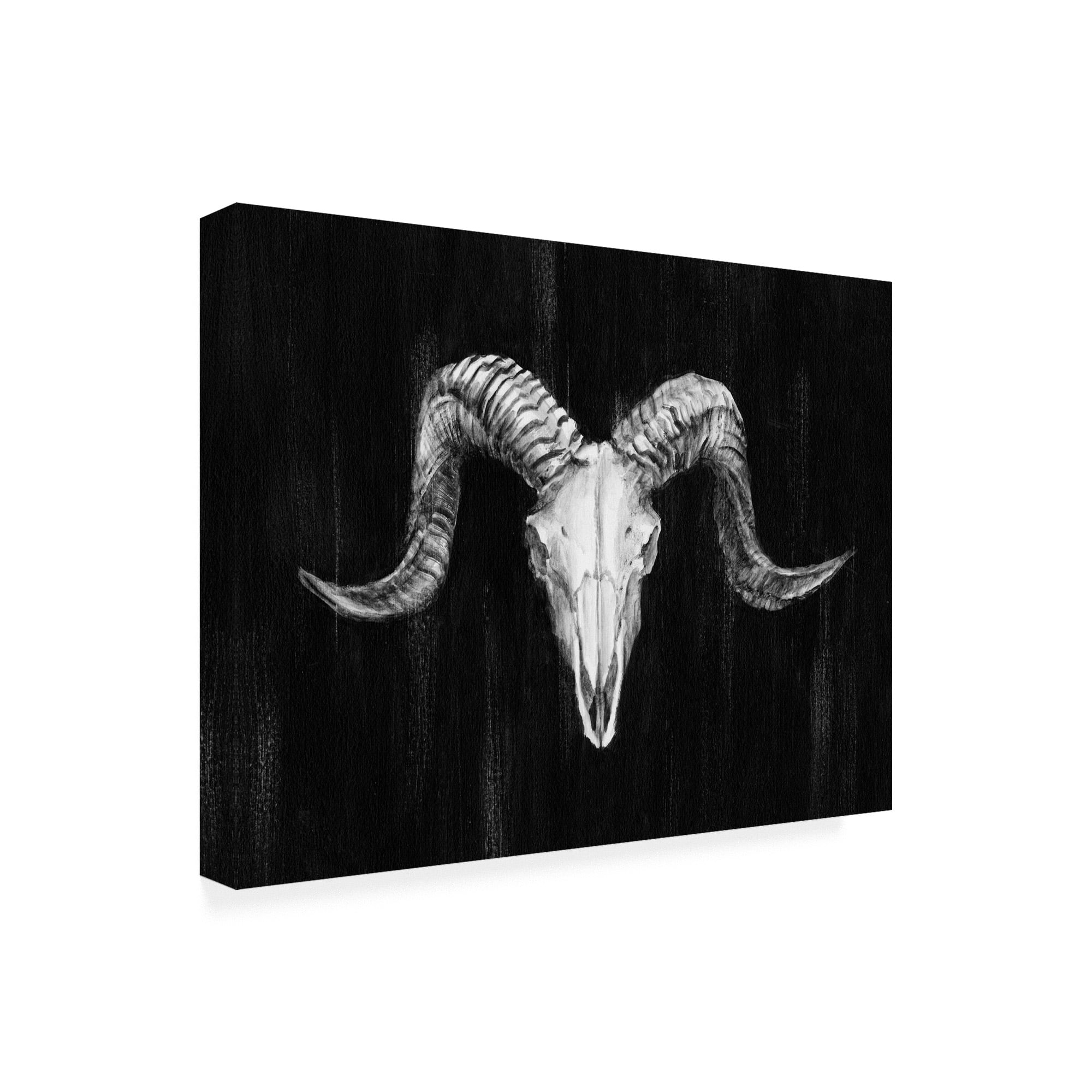 Trademark Fine Art 'Rustic Ram Mount I' Canvas Art by Ethan Harper