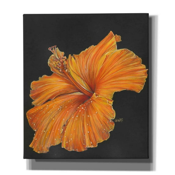 Epic Graffiti 'Momentus' by Barbara Keith, Canvas Wall Art, 26"x30"