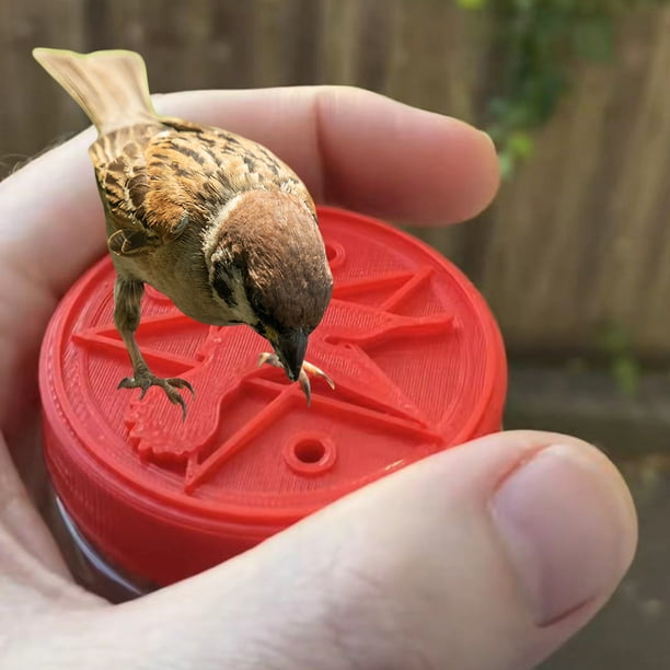 Travelwant Hummingbird Ring Feeder (Red) New Hand Held