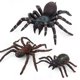 thumbnail image 3 of Simulación de animales, insectos, modelo sólido, Tarantula, araña negra, broma Tricky, divertidas figuras de acción, juguetes educativos, 3 of 4