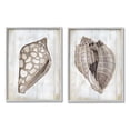 thumbnail image 3 of Stupell Industries Spotted Seashell Rustic Marine Life Beach Sign Graphic Art Gray Framed Art Print Wall Art, Set of 2, Design by Carol Robinson, 3 of 5