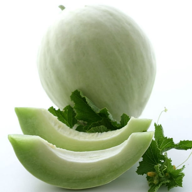 Melon dating site)
