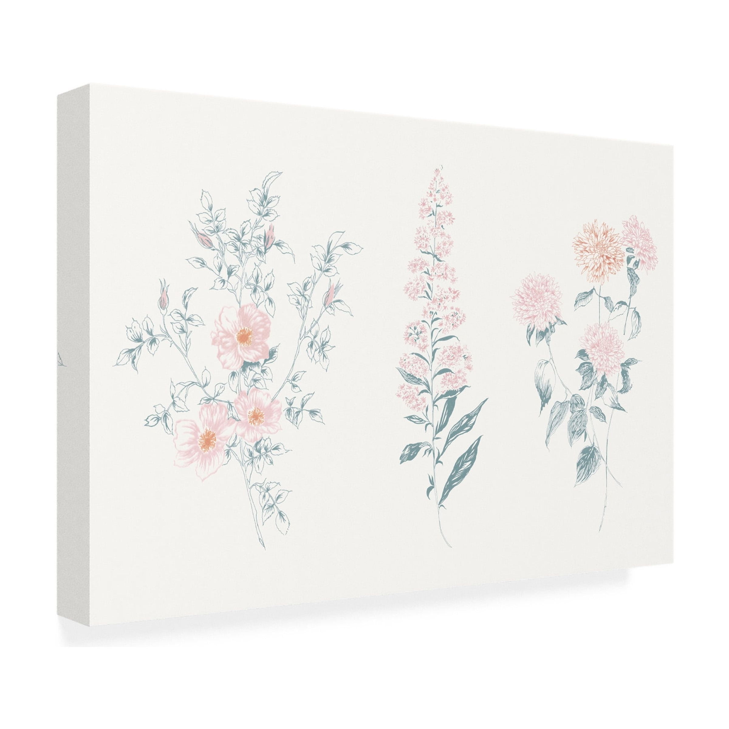 Trademark Fine Art 'Flowers on White IX Contemporary' Canvas Art by Wild Apple Portfolio