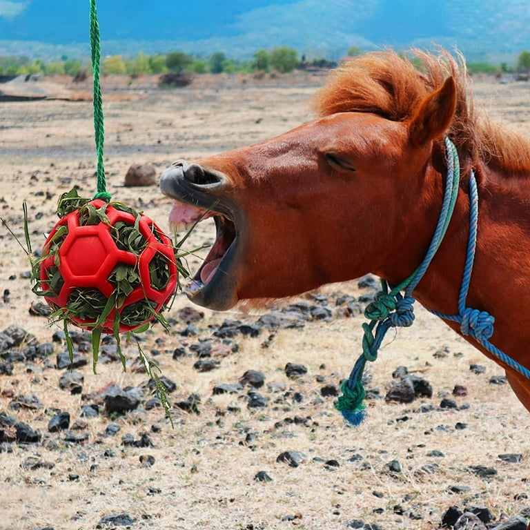 Nose It Horse Treat Ball & Toy Dispenses Grain, Pellets & More — Hay Pillow®