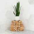 thumbnail image 3 of Nearly Natural 16in. Artificial Sansevieria Snake Plant with Decorative Planter , Green, 3 of 5