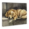 thumbnail image 4 of Stupell Industries Sleeping Golden Retriever Animals Painting Wrapped Canvas Art Print Wall Art, 30 x 24, 4 of 8