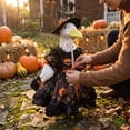thumbnail image 5 of Sruoe Halloween Porch Goose Outfits, Witch Costumes Set 23 Inch Porch Goose Clothes, Goose Clothes Dress, Duck Sculpture Clothes for Lawn Statue Cement Statue Yard Patio Party Decoration, 5 of 7
