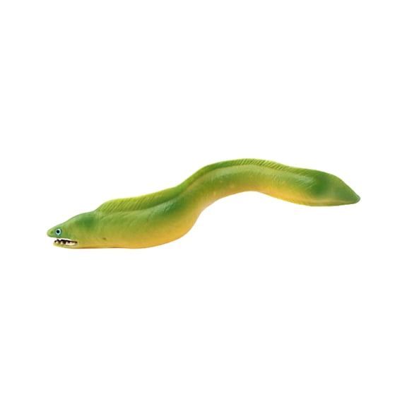 Sinyiin Creature Marine Fish Figure Realistic Design Eel Model Figurine for Classroom Biology Learning and Education Display