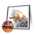 thumbnail image 1 of Cuadros Decorativos Kits de pintura de diamantes 5D DIY cuadro de mosaico de Wdftyju animales de taladro redondo completo decoración de pared artesanía de Arte de diamantes de imitació, 1 of 9