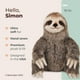 thumbnail image 2 of Peluche de peluche Bearington Simon, perezoso de tres dedos, 25 cm, 2 of 6