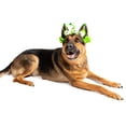 thumbnail image 3 of Disfraz de diadema Midlee Alien Dog color verde lima para talla mediana y grande, 3 of 9