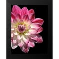 thumbnail image 2 of Foschino, Suzanne 19x24 Black Modern Framed Museum Art Print Titled - Ombre Dahlia 16, 2 of 5