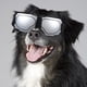 thumbnail image 4 of BESTYASH Gafas Plateadas Para Perro Con Correa Ajustable Ideales Para Proteger En Exteriores Y Eventos, 4 of 8
