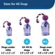 thumbnail image 2 of Juguete Dispensador de Comida para Perros Petsafe Busy Buddy Tug-A-Jug Pequeño, 2 of 6