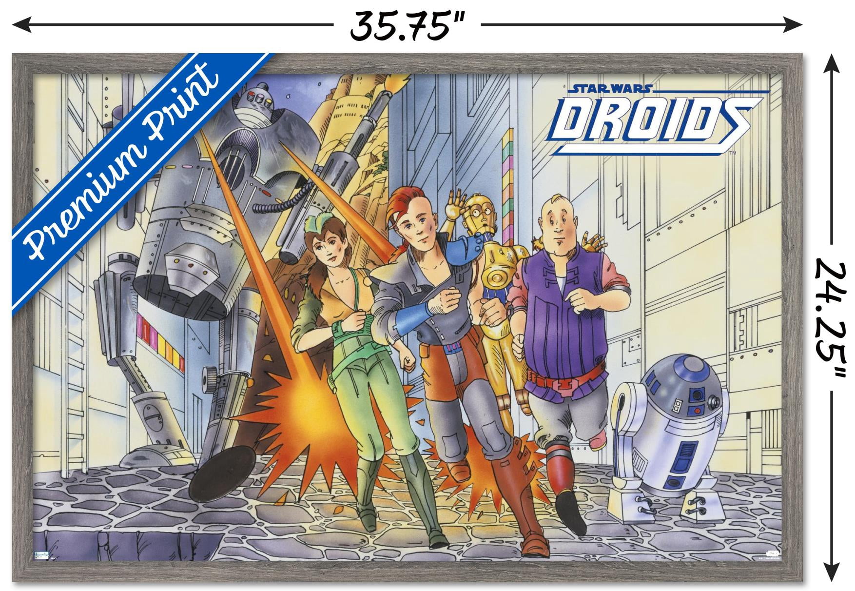 Star Wars: Droids - Action Wall Poster, 22.375" x 34", Framed