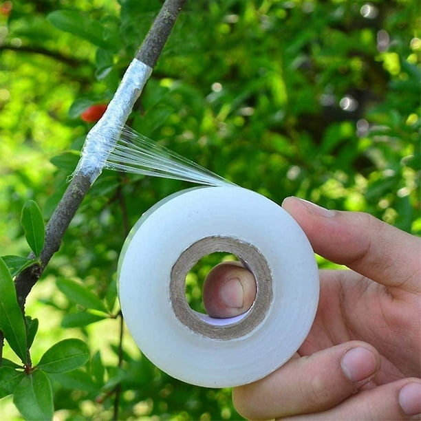 Cinta De Injerto, 2 Piezas Cinta De Acabado De Barrera De Humedad De Árboles Frutales Transparente, Elástica, Para Reparación De Injertos De Plantas De Árboles De Jardín (3 Cm X 200 M) Baobao