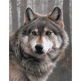 thumbnail image 1 of Kit de pintura por números, cuadro de arte al óleo de lienzo de lobo gris DIY para decoración de pared del hogar Hugtrwg Para estrenar, 1 of 9