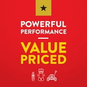 Eveready Gold Alkaline AA Batteries, 4 Pack of Double A Batteries