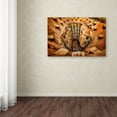 thumbnail image 3 of Trademark Fine Art 'Casa Mila&nbsp; La Pedrera Barcelona' Canvas Art by Massimo Cuomo, 3 of 3