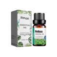 thumbnail image 1 of Melissa Officinalis Essential Oil, Moisturizing Massage Skin Body Care Improve Memory Melissa Officinalis Essence, 1 of 4