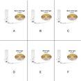 thumbnail image 3 of LED Lights Strip PIR Background Flexible Cabinet Lighting Ribbon IP65 Waterproof Adjustable Kitchen Lamp Tape Indoor Outdoor Warm White 2m, 3 of 9