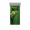 thumbnail image 2 of Animal Bedding Set with Sheet & Covers, Red Eyed Frog Between Exotic Macro Big Leaves Wild Nature Night Animal Vivid Colors, Printed Bedroom Decor 2 Shams, 4 Sizes, Green, by Ambesonne, 2 of 3