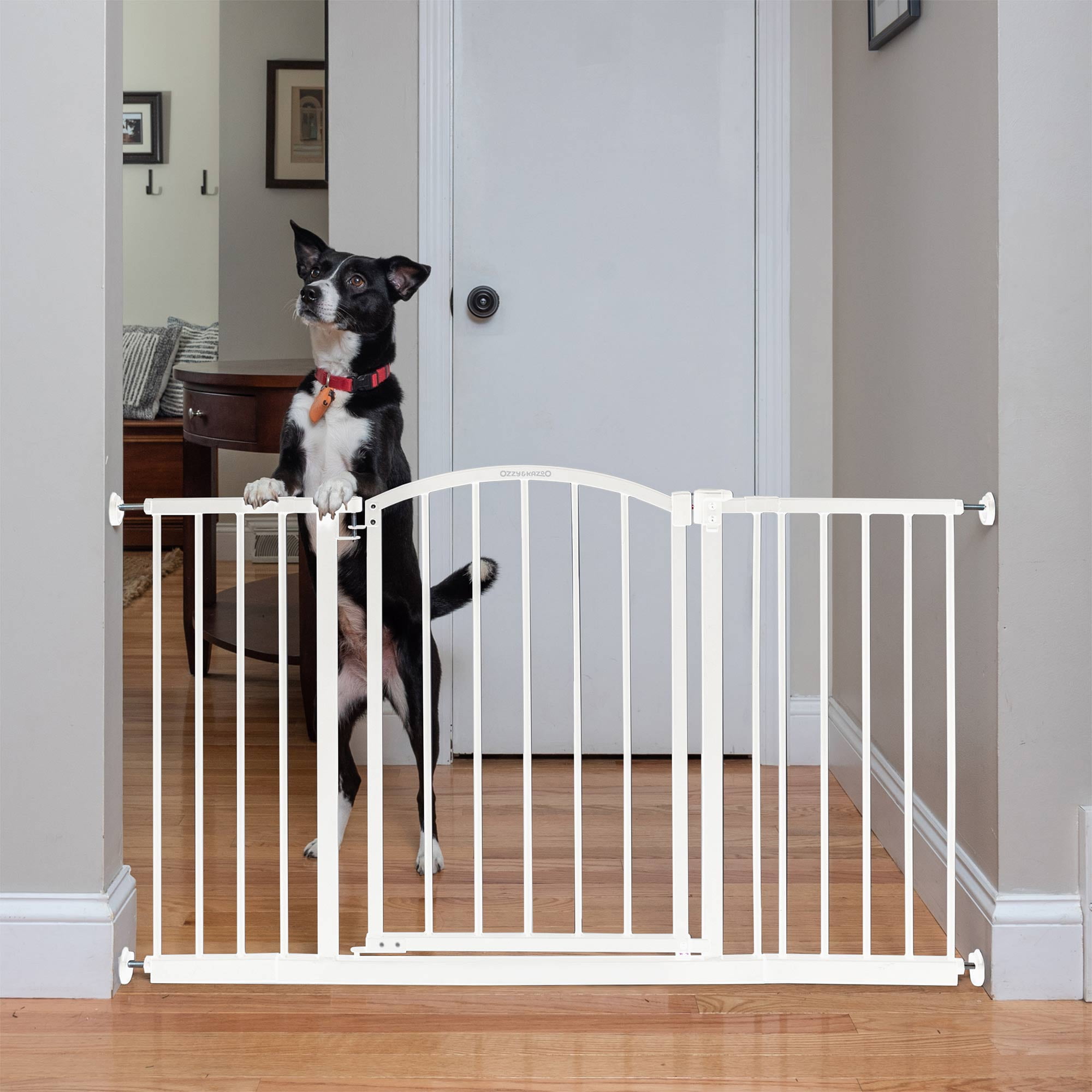 Ingenuity Ozzy & Kazoo Deluxe Extra Tall Walk - Through Arch Dog Gate