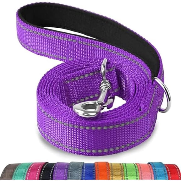 Eryueer Double-Sided Reflective Dog Leash, 6 FT/5FT/4 FT, Padded Handle Nylon Dogs Leashes for Walking, Training Lead for Medium & Large Dogs, Purple, 5FT