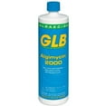 thumbnail image 2 of GLB 71104A-12 Algimycin 2000 Swimming Pool Algaecide, 12-Pack, 2 of 8