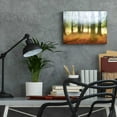 thumbnail image 6 of Epic Art 'Blurred Trees' by Thomas Haney, Acrylic Glass Wall Art, 16"x12", 6 of 8