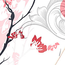 Cherry Blossom