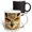 Multicolor, variant on 3drose, Eagle Owl (bubo Bubo) in Spain, 11oz Two-tone Black Mug