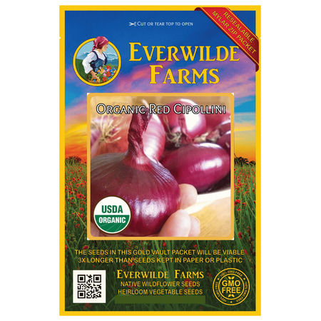 Everwilde Farms - 100 Organic Red Cipollini Onion Seeds - Gold Vault Jumbo Bulk Seed (Best Onion Seeds In India)