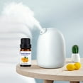 thumbnail image 4 of Momihoom Water-Soluble Aromatherapy Essential Oil Diffuser Aroma humidifier Essential Oil, Diffuser, Aromatherapy Stove, 4 of 7