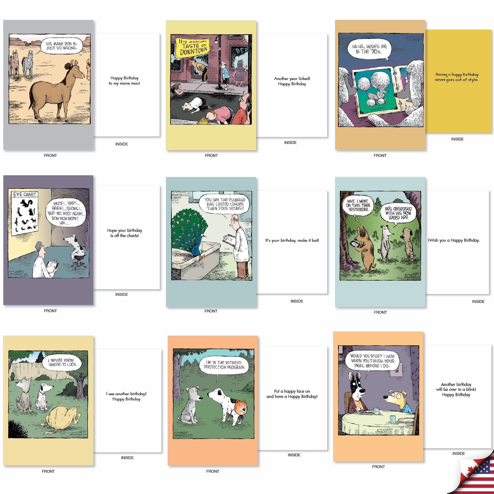 NobleWorks Dave Coverly's Cake Time - Pack of 36 Birthday Greeting Cards with Envelopes (4.63 x 6.75 Inch) - AC9375BDG-B1x36