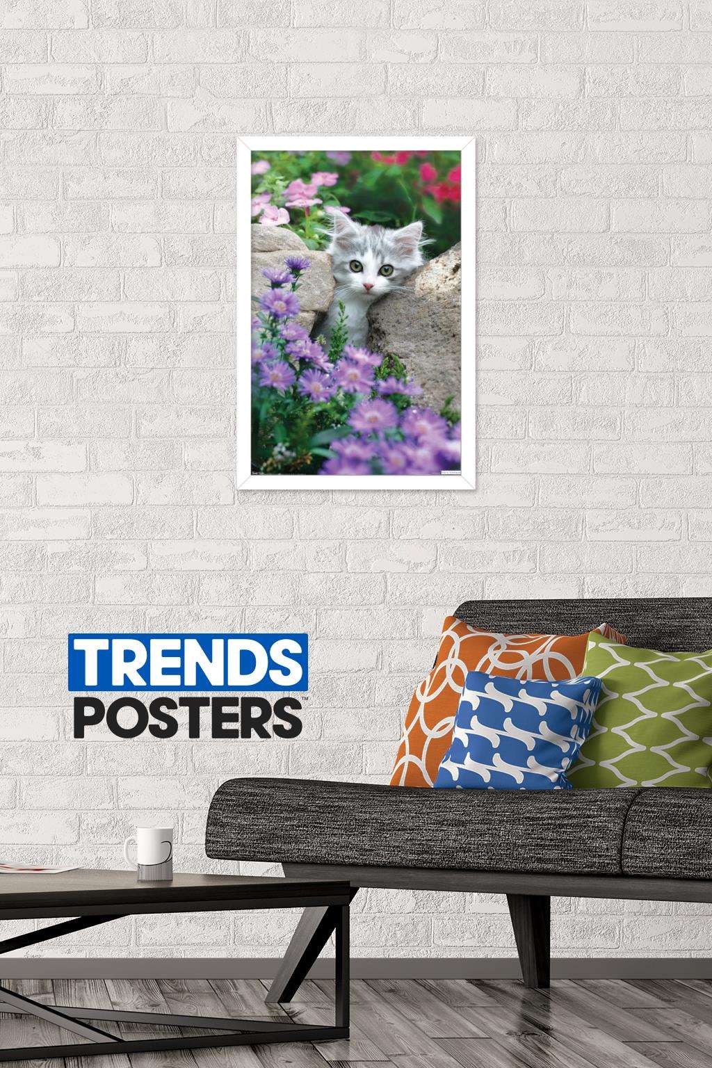 Keith Kimberlin - Kitten - Stones and Flowers Wall Poster, 14.725" x 22.375", Framed