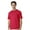 Red, variant on Gildan Unisex Short Sleeve Light T-Shirt 100% Cotton Modern Classic Fit Crew Neck Tee (Black, L)