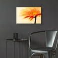 thumbnail image 6 of Epic Art 'Orange Flower on Orange' by Tom Quartermaine, Acrylic Glass Wall Art, 24"x16", 6 of 8