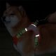 thumbnail image 4 of Arnés para mascotas, cuerda de tracción ajustable en el pecho, chaleco reflectante transpirable para perros pequeños y medianos, 4 of 8