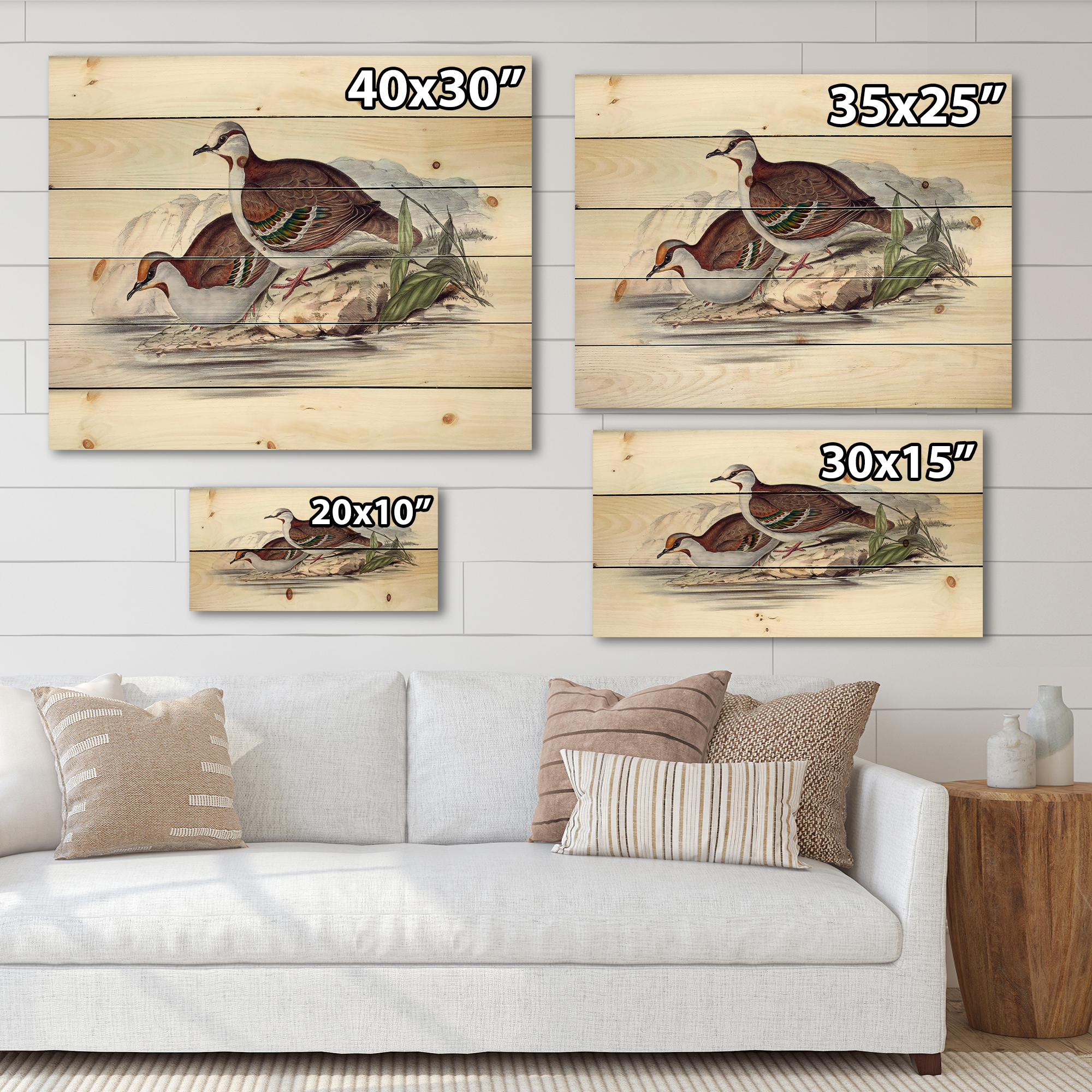 Designart 'Ancient Australian Birds IX' Traditional Print on Natural Pine Wood
