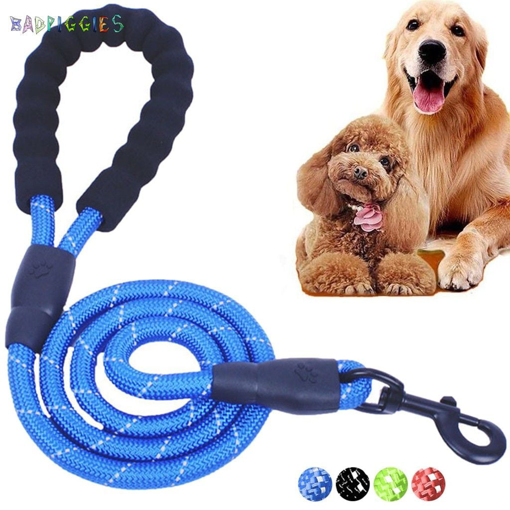 Beebiepet 5 FT Strong Dog Leash with Comfortable Padded Handle and Highly Reflective Threads Dog Leashes for Small Medium Large Dogs with A Free Matching Dog Collar