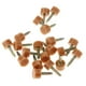thumbnail image 4 of 20 puntas de repuesto para tacones altos Tapas de reparación de zapatos Tapas de cvijas Reempzo de elevadores de cvijas Grande Macarena Puntas de reemplazo de tacón alto, 4 of 7