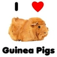 thumbnail image 3 of CafePress - I Love Guinea Pigs Men's Light Pajamas - Men's Light Loose Fit Cotton Pajama Set, 3 of 7