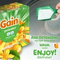 thumbnail image 6 of Gain Powder Laundry Detergent, Island Fresh Scent, 82 oz, 89 Loads, 6 of 10
