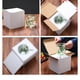 thumbnail image 5 of Tazas de vidrio Naiovety boca ancha tecnología aislada 350ml, 5 of 6